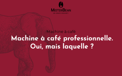 Achat d’une machine à café pro : quelles critères prendre en compte ?