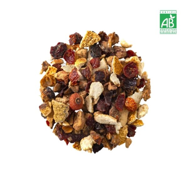 CARNAVAL - Infusion aromatisée (x20/George-Cannon) – Image 2