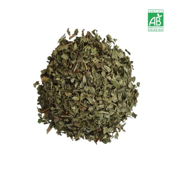 VERVEINE MENTHE - Infusion BIO (x20/George-Cannon) – Image 3