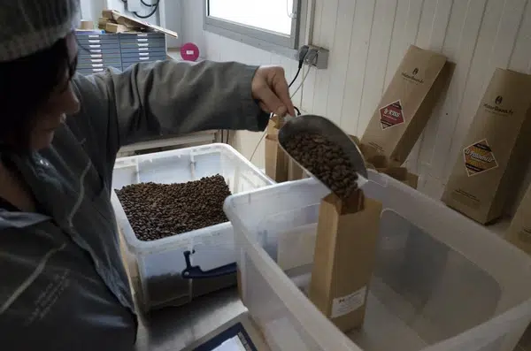 Un café en grain est toujours plus savoureux que le café moulu depuis plusieurs semaines.
