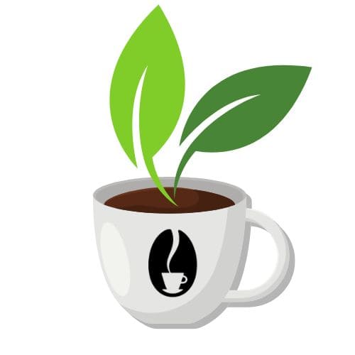 café en grain misterbean écologique