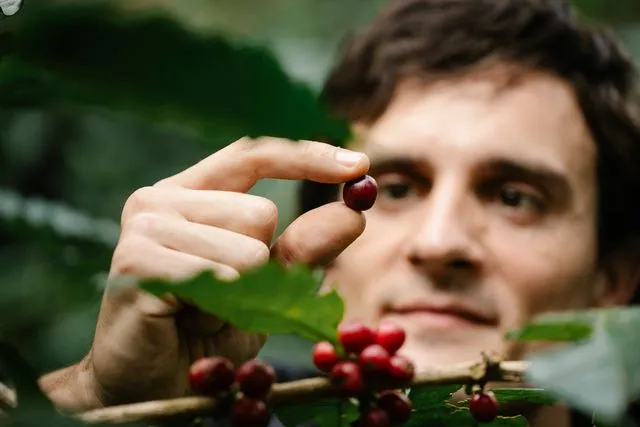 Un expert MisterBean sélectionne avec soin les meilleurs producteurs de café.