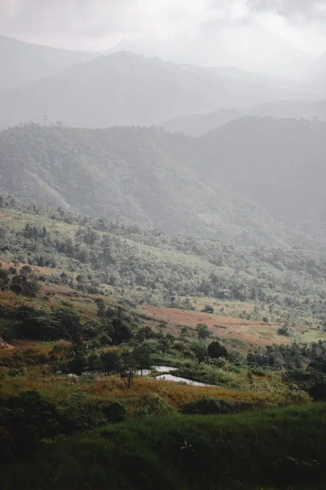 Paysage et climat typiques des principaux pays producteurs de café. On y voit une plaine fertile, des montagnes aux forêts luxuriantes, un beau soleil avec des nappes de nuages bas.